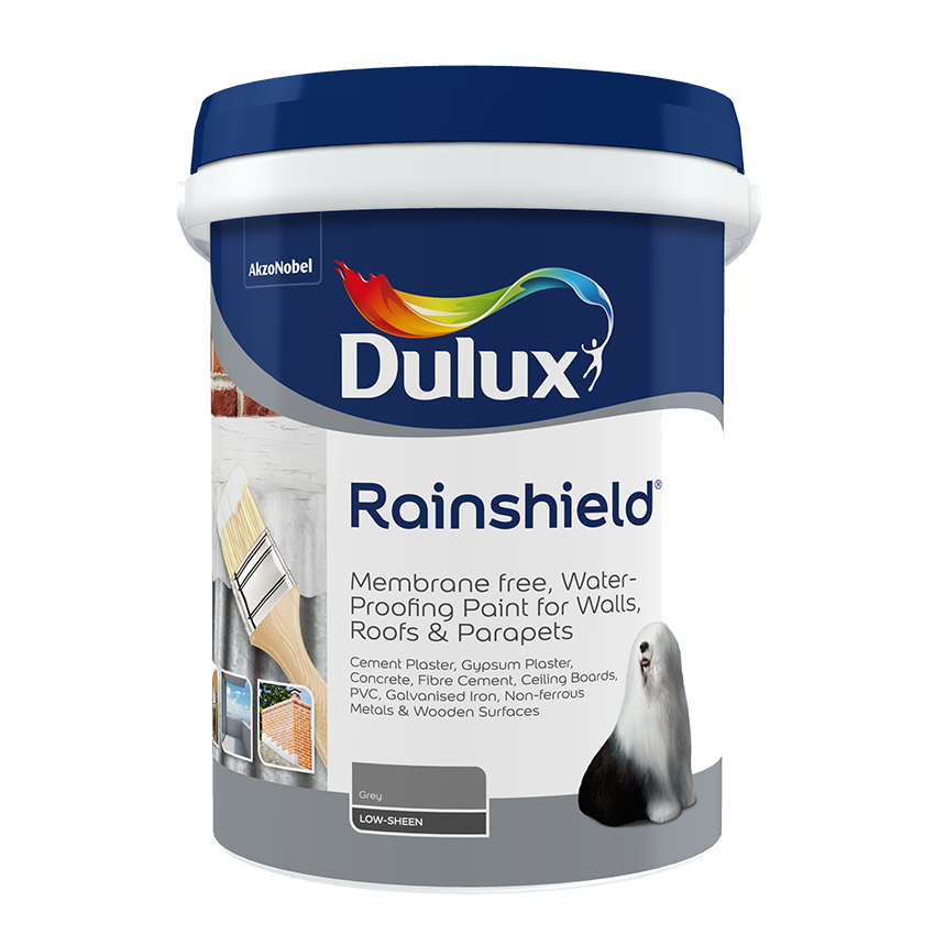DULUX Rainshield - 20L - Grey
