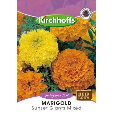 PICTURE PACKET FLOWERS MARIGOLD CRACKERJACK MIX