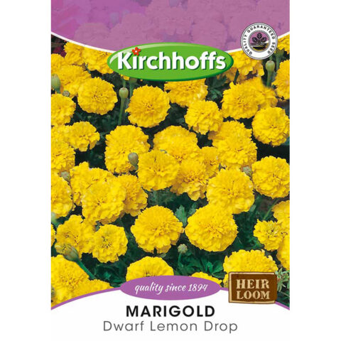 PICTURE PACKET FLOWERS MARIGOLD DWARF LEMON DROP