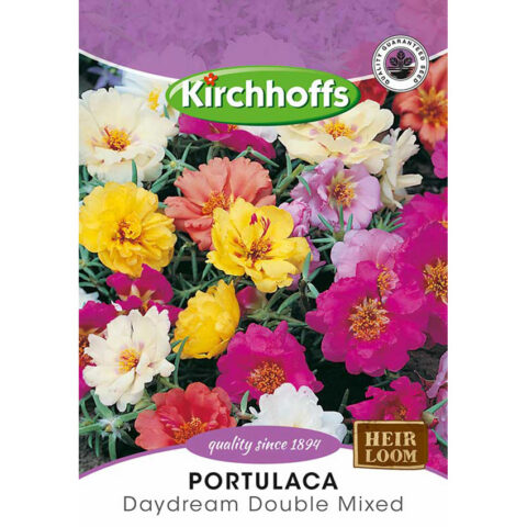 PICTURE PACKET FLOWERS PORTULACA DAYDREAM DBL MIXED