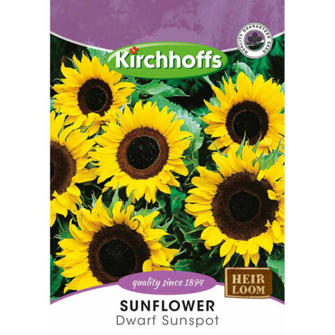 PICTURE PACKET FLOWERS SUNFLOWER DWARF SUNSPOT