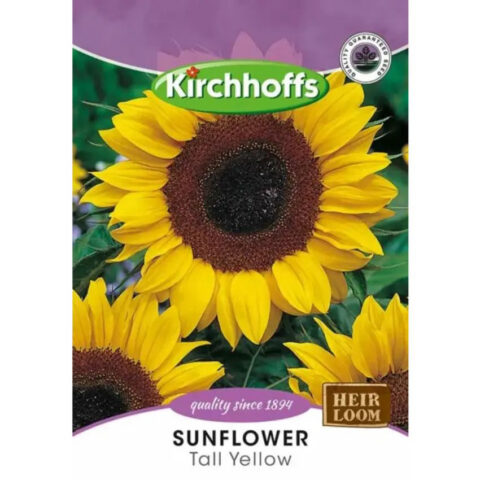PICTURE PACKET FLOWERS SUNFLOWER TALL YELLOW