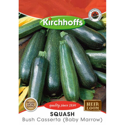 PICTURE PACKET VEGETABLES SQUASH BUSH CASERTA (BABY MARR