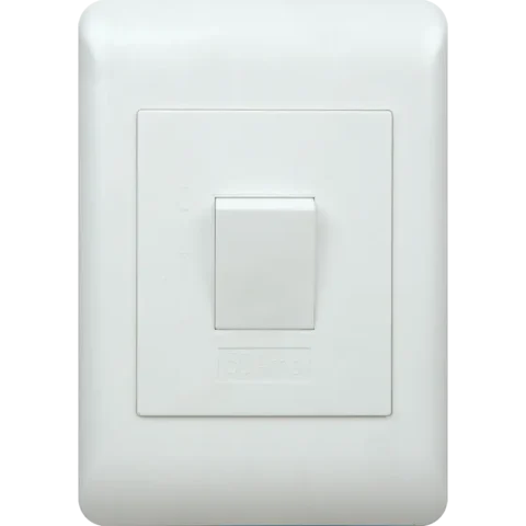APOLLO 50A Isolator 2 Pole 100x50 White