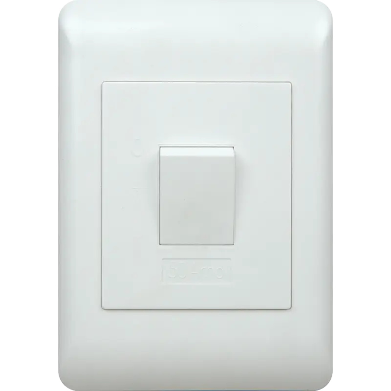 APOLLO 50A Isolator 2 Pole 100x50 White