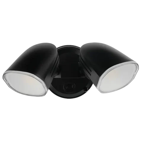 20W Double Security Spotlight